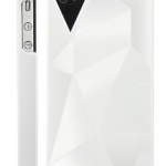 geometric-facets-case