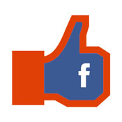 Glitch in Facebook insights