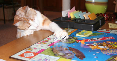 Monopoly rules wrong.