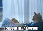 Creators of popular cat memes file lawsuit against Warner Bros.