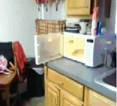 Maine girls put cat in microwave
